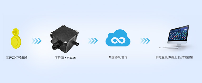 蓝牙耳标-蓝牙网关-云端.jpg 蓝牙耳标-蓝牙网关-云端.jpg